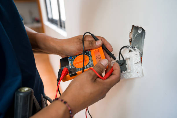 Best Electrician for Home Renovation  in Albany, MN