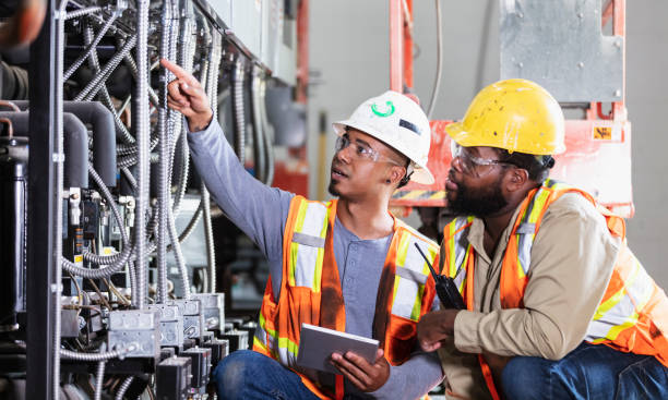 Best Affordable Electrician  in Albany, MN